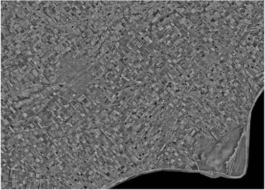 Figure 6. Area surrounding Rondeau Provincial Park showing the park’s isolation by agriculture and housing and how close these activities are to the park and Lake Erie shoreline.