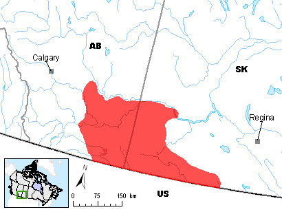 Figure 1. Aire de répartition du renard véloce (Vulpes velox) au Canada