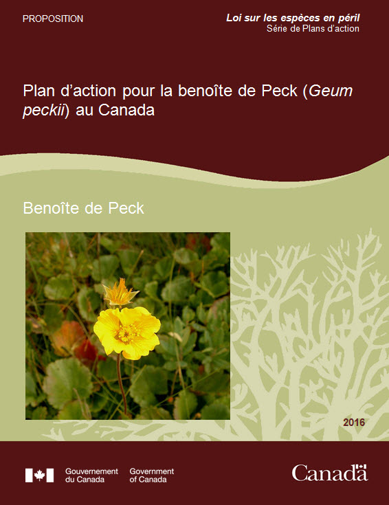 Plan d'action pour la benoîte de Peck 