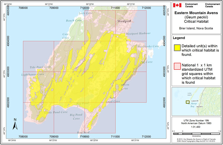 Boundaries of the critical habitat unit on Brier Island