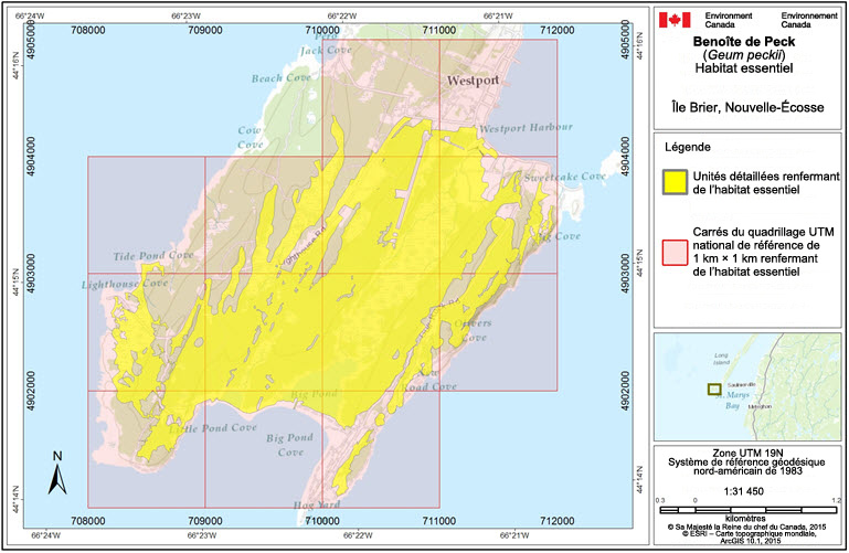 Limites des unités d'habitat essentiel de l'île Brier