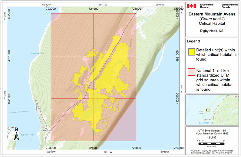 Boundaries of the critical habitat unit in Digby Neck