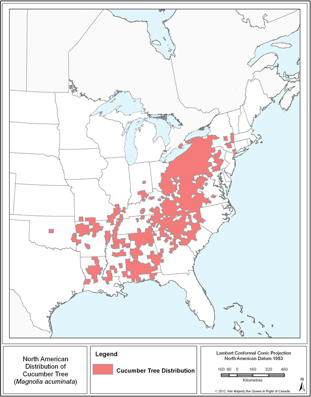 Figure 1 is a map of the North American distribution of Cucumber Tree.  See detailed description below