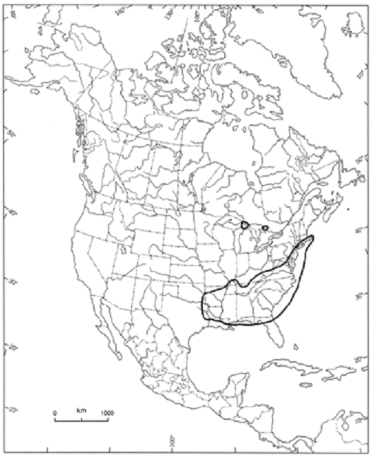 Figure 2. North American distribution of Bartonia paniculata ssp. paniculata.