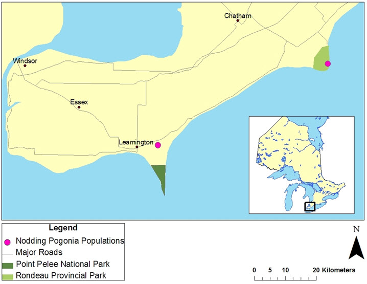 Map of distribution of Nodding Pogonia in Ontario