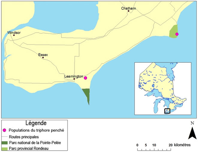 Répartition actuelle