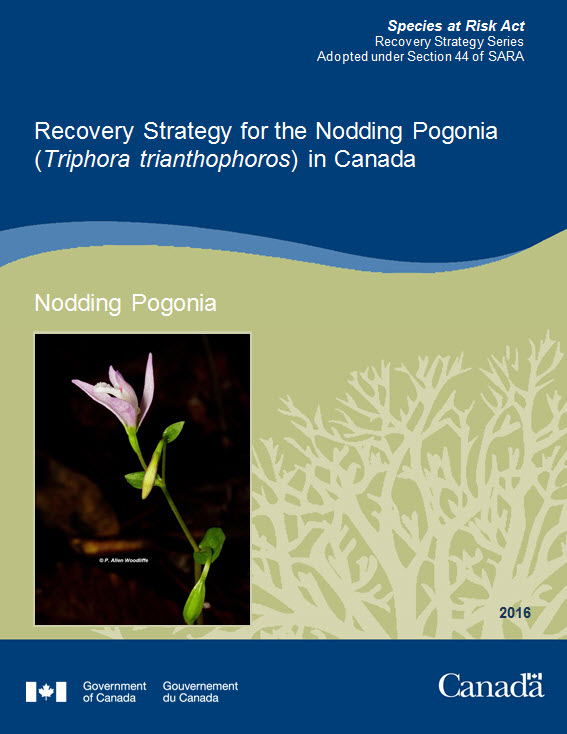 Cover photo: Recovery Strategy for the Nodding Pogonia