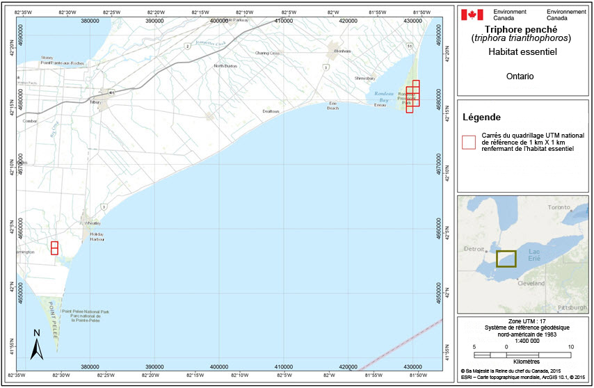 Carrés du quadrillage renfermant de l'habitat essentiel