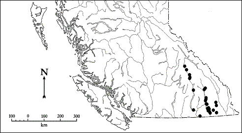 Figure 3. Distribution of Plethodon idahoensis in British Columbia. From Matsuda et&nbsp;al. (2006).