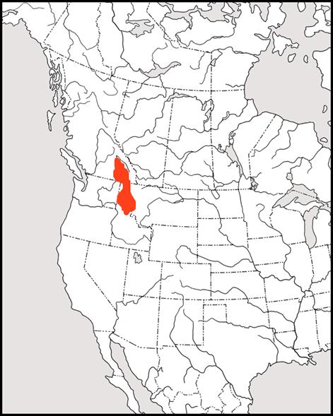 Figure 2. Aire de répartition mondiale du Plethodon idahoensis.