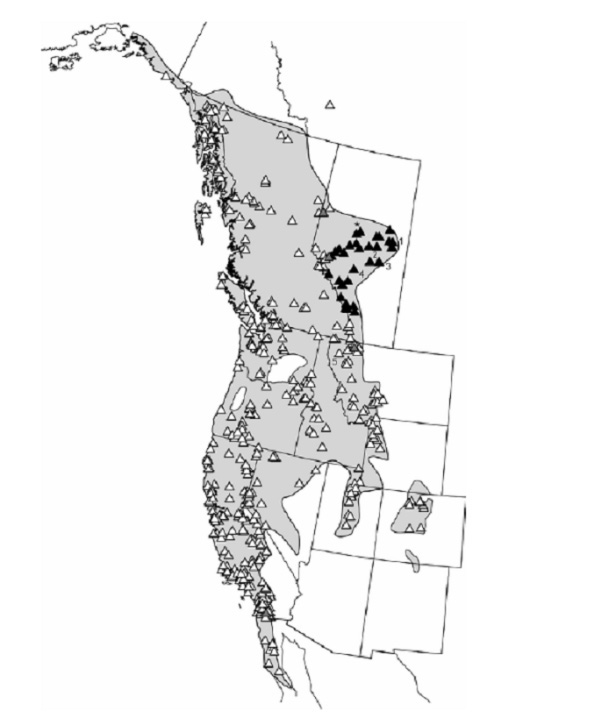Figure 1 shows a map of western North America containing verified sites of either non-calling or calling males of the Western Toad