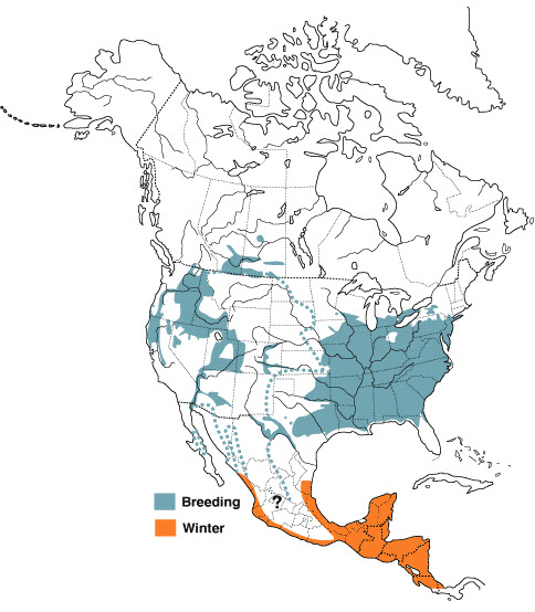 Breeding and wintering range of both subspecies of Yellow-breasted Chat