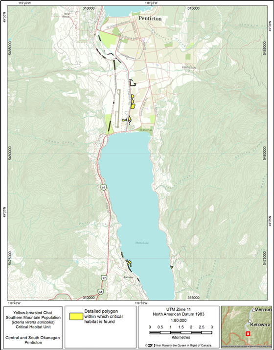 Critical habitat for Yellow-breasted Chat at Penticton, B.C.