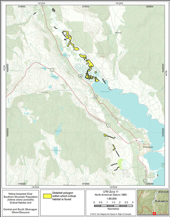 Critical habitat for Yellow-breasted Chat at Oliver/Osoyoos, B.C.
