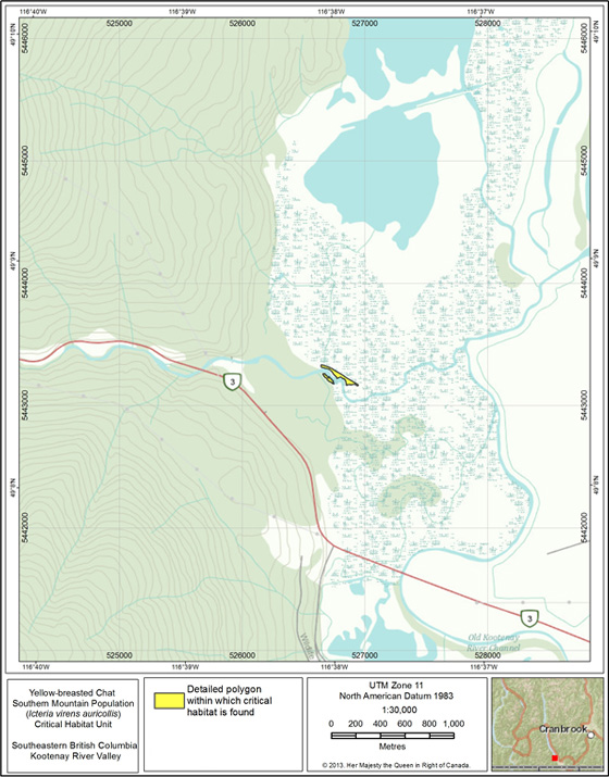 Critical habitat for Yellow-breasted Chat at the Kootenay River Valley, B.C.
