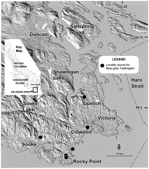 Figure 3: Canadian distribution of Prophysaon coeruleum