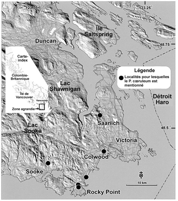 Figure 3 : Répartition du Prophysaon cœruleum au Canada