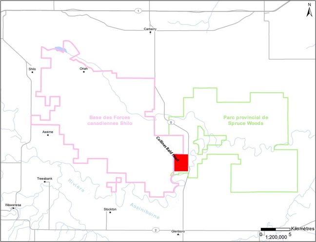 Emplacement du site occupé par l’héliotin blanc satiné (Schinia bimatris)