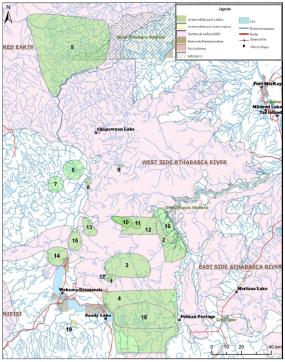 Carte illustrant les multiples hardes de caribous présentes en Alberta.