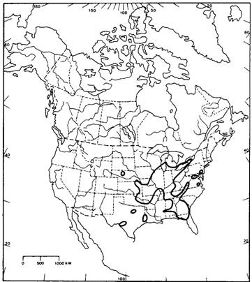 Distribution of Ptelea trifoliata ssp. trifoliata in North America north of Mexico