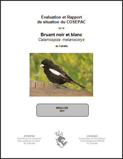 Évaluation et rapport de situation du COSEPAC sur le Bruant noir et blanc