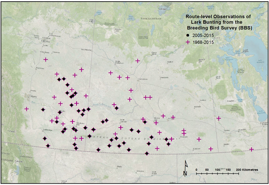 Distribution  of Canadian records from the Breeding Bird Survey