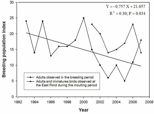 Chart showing the number of adult Horned Grebes observed during the breeding season and the number of adults and immatures observed during the moulting period on the Magdalen Islands, Quebec, from 1993 to 2007.
