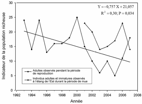 Diagramme du nombre de Grèbes esclavons adultes durant la saison de reproduction et du nombre d’adultes et d’immatures durant la période de mue aux îles de la Madeleine (Québec) entre 1993 et 2007.