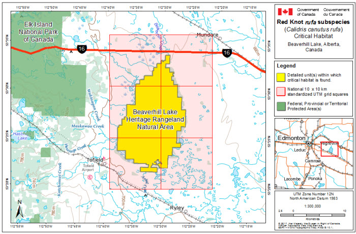 Map of stopover critical habitat for rufa in Beaverhill Lake, Alberta