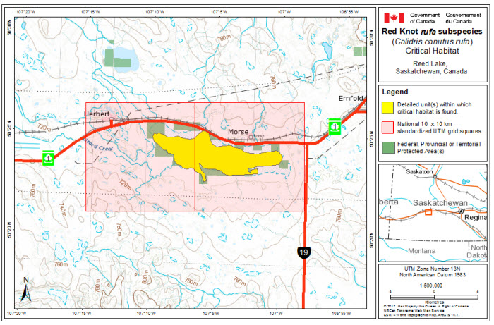 Map of stopover critical habitat for rufa in Reed Lake, Saskatchewan