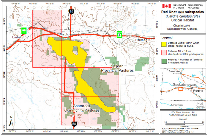 Map of stopover critical habitat for rufa in Chaplin Lake, Saskatchewan