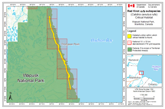 Map of stopover critical habitat for rufa in Wapusk National Park, Manitoba