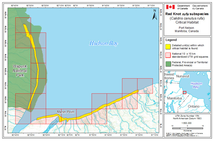 Map of stopover critical habitat for rufa in Wapusk National Park and Port Nelson, Manitoba