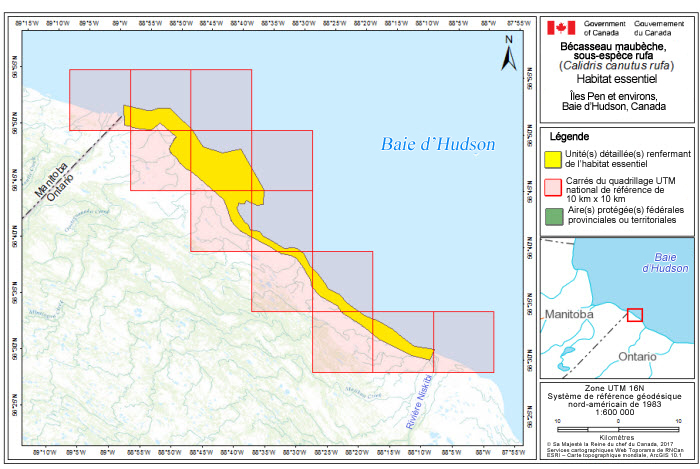 Carte de la région du Manitoba et de la frontière de l'Ontario sur la baie d'Hudson (voir longue description ci-dessous)