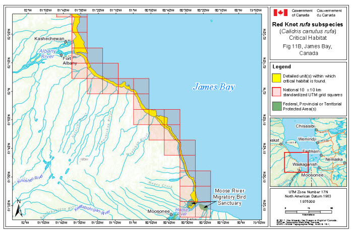 Map of stopover critical habitat for rufa in the Ontario portion of James Bay (see long description below)