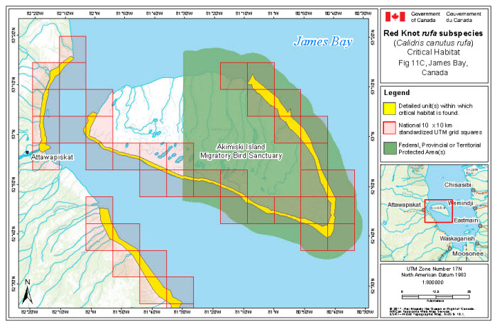 Map of stopover critical habitat for rufa in the Ontario and Nunavut portions of James Bay (see long description below)