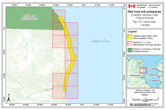Map of stopover critical habitat for rufa in the Ontario portion of James Bay (see long description below)