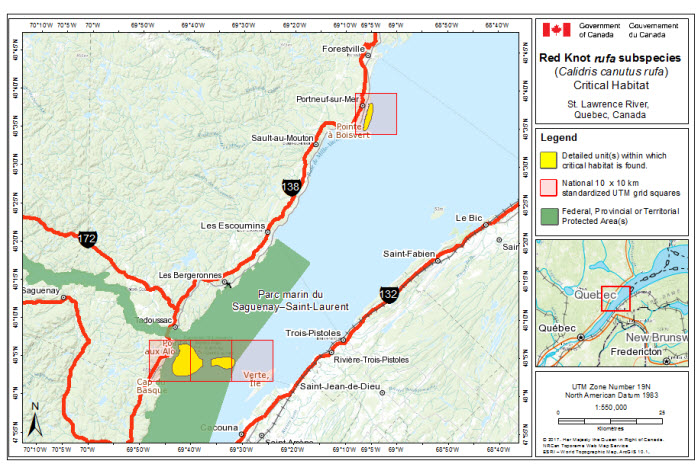 Map of stopover critical habitat for rufa in the St. Lawrence River (see long description below)