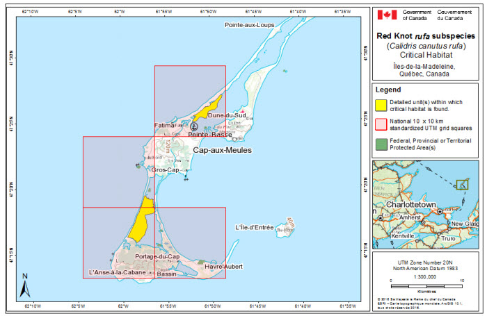 Map of stopover critical habitat for rufa in the Magdalen Islands (see long description below)