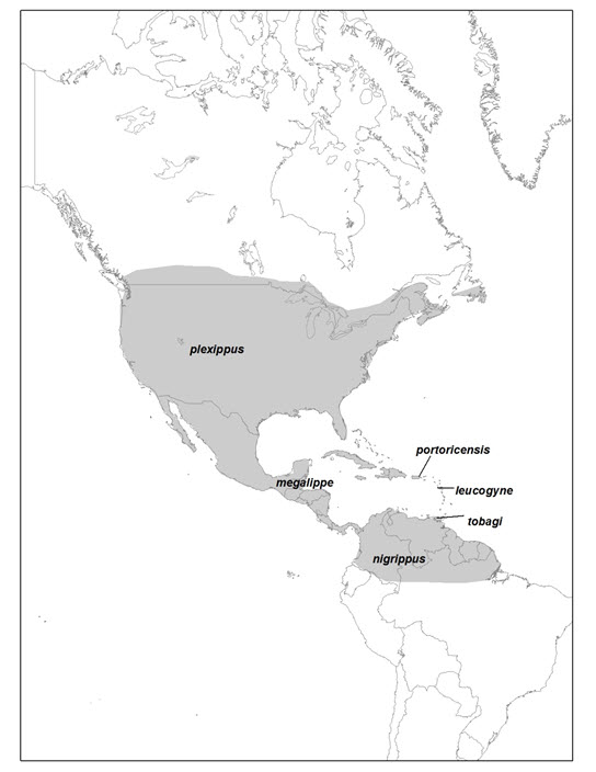 Aire de répartition nord-américaine du monarque (voir longue description ci-dessous)