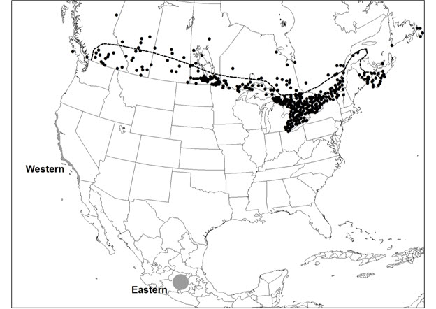 Canadian range extent of the Monarch  (see long description below)
