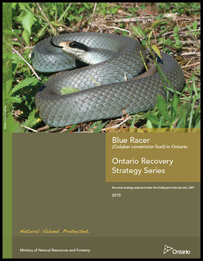 Photo of part 2 document cover