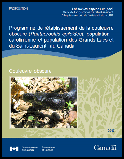 Programme de rétablissement de la couleuvre obscure (Pantherophis spiloides), population carolinienne et population des Grands Lacs et du Saint-Laurent, au Canada [Proposition] - 2016