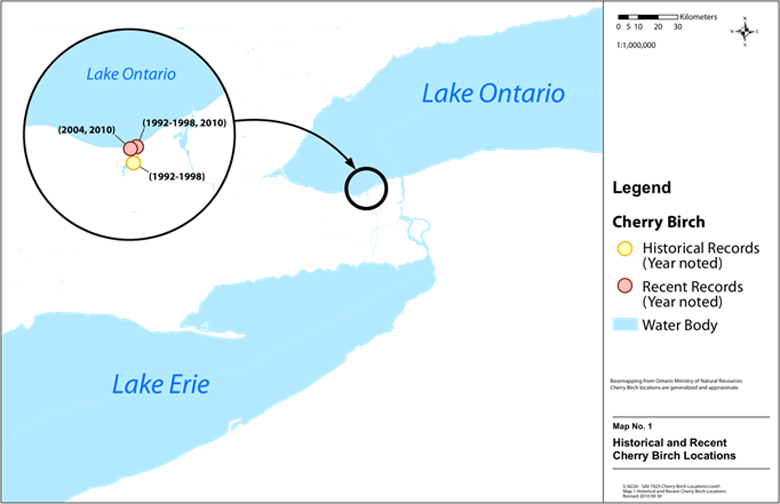 Map 1 Historical and Recent Cherry Birch Locations-5