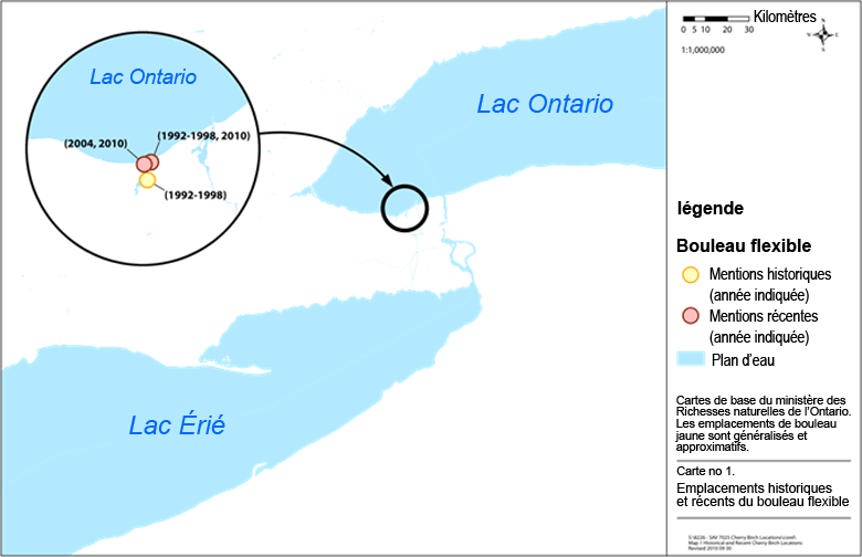 Aire de répartition historique et actuelle du bouleau flexible en Ontario
