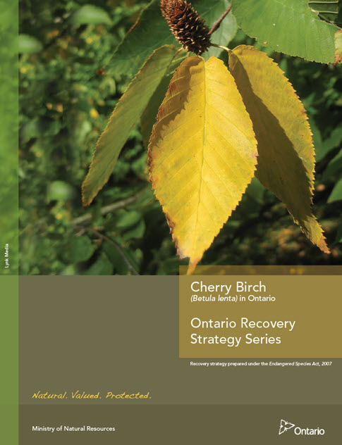 Part2 cover