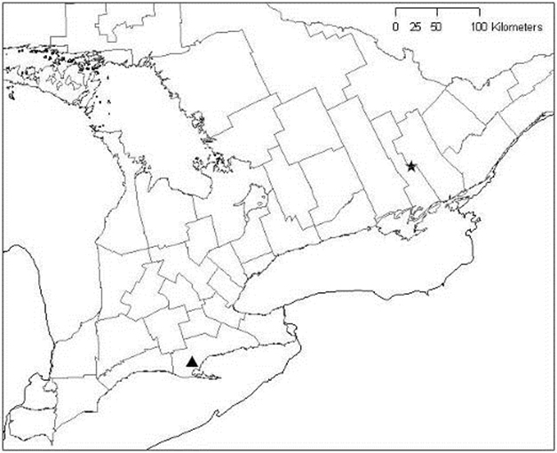 Figure 3 is a map of the Ontario distribution and occurrences of Toothcup.