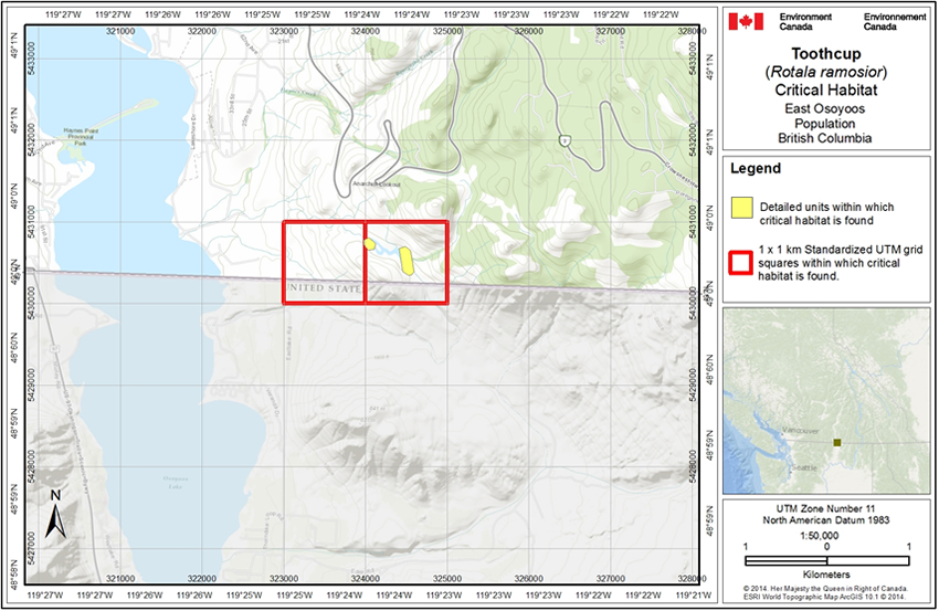 Figure A1 is a map of critical habitat for the East Osoyoos Population.