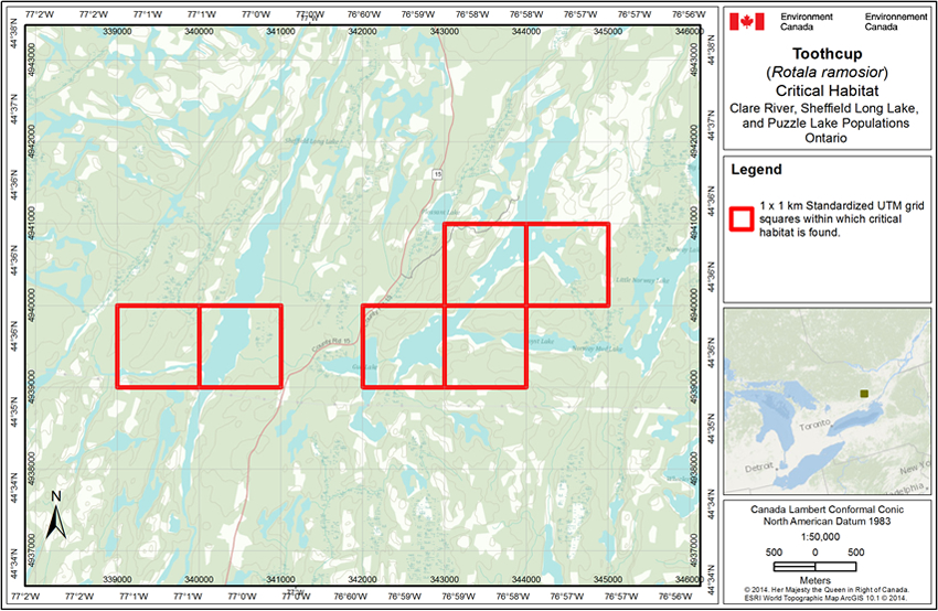 Figure A4 is a map of where critical habitat for the Clare River, Sheffield Long Lake and Puzzle Lake populations can be found.