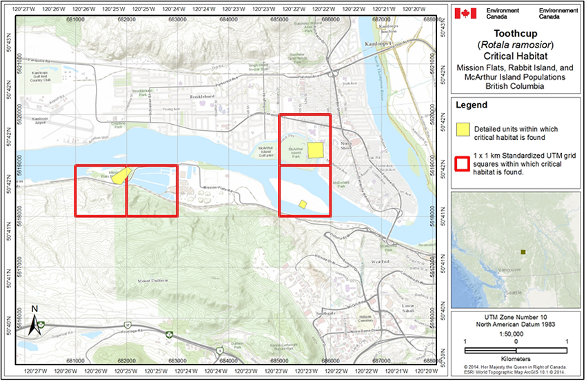 Figure A3 is a map of where critical habitat for the Mission Flats, Rabbit Island and McArthur Island Populations can be found.